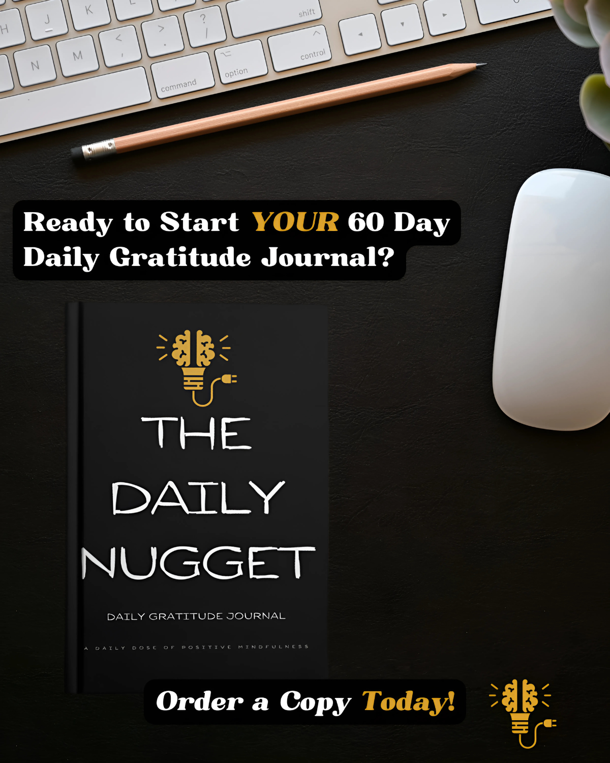 The Daily Nugget Gratitude Guidebook